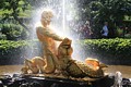 Фонтан «Оранжерейный»