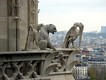 горгульи на Notre Dame de Paris