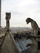 крыша Notre Dame de Paris